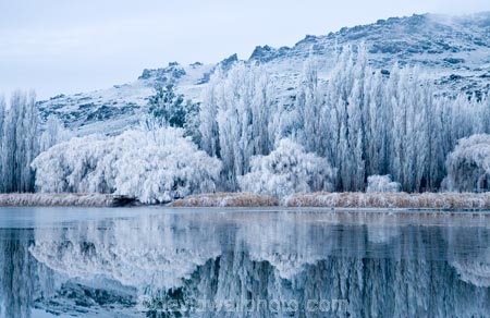 Alexandra;beautiful;Butchers-Dam;calm;calmness;Central-Otago;clean;clear;cold;Coldness;Color;Colour;dam;dams;Daytime;Exterior;freeze;freezing;freezing-fog;frost;Frosted;frosty;frozen-dam;frozen-dams;frozen-lake;frozen-lakes;frozen-pond;frozen-ponds;frozen-water;high-country;hoar-frost;hoar-frosts;Hoarfrost;hoarfrosts;ice;ice-crystals;icy;idyllic;lake;lakes;Landscape;Landscapes;N.Z.;natural;Nature;new-zealand;NZ;Otago;Outdoor;Outdoors;Outside;peaceful;Peacefulness;phenomena;phenomenon;placid;pond;ponds;poplar;poplar-tree;poplar-trees;poplars;pure;Quiet;Quietness;reflection;reflections;reservoir;reservoirs;rime;rime-ice;S.I.;Scenic;Scenics;Season;Seasons;serene;SI;silence;smooth;south-island;spectacular;still;stunning;tranquil;tranquility;tree;trees;view;water;weather;weeping-willow;weeping-willows;White;willow;willow-tree;willow-trees;willows;winter;Wintertime;wintery;wintry