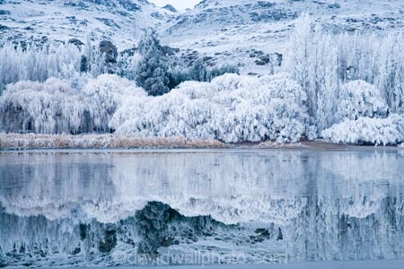 Alexandra;beautiful;Butchers-Dam;calm;calmness;Central-Otago;clean;clear;cold;Coldness;Color;Colour;dam;dams;Daytime;Exterior;freeze;freezing;freezing-fog;frost;Frosted;frosty;frozen-dam;frozen-dams;frozen-lake;frozen-lakes;frozen-pond;frozen-ponds;frozen-water;high-country;hoar-frost;hoar-frosts;Hoarfrost;hoarfrosts;ice;ice-crystals;icy;idyllic;lake;lakes;Landscape;Landscapes;N.Z.;natural;Nature;new-zealand;NZ;Otago;Outdoor;Outdoors;Outside;peaceful;Peacefulness;phenomena;phenomenon;placid;pond;ponds;poplar;poplar-tree;poplar-trees;poplars;pure;Quiet;Quietness;reflection;reflections;reservoir;reservoirs;rime;rime-ice;S.I.;Scenic;Scenics;Season;Seasons;serene;SI;silence;smooth;south-island;spectacular;still;stunning;tranquil;tranquility;tree;trees;view;water;weather;weeping-willow;weeping-willows;White;willow;willow-tree;willow-trees;willows;winter;Wintertime;wintery;wintry