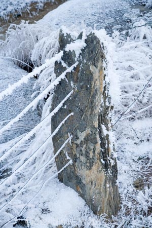 Alexandra;beautiful;building;buildings;calm;calmness;Central-Otago;clean;clear;cold;Coldness;Color;Colour;Daytime;Exterior;fence;fence-line;fence-lines;fence_line;fence_lines;fenceline;fencelines;fences;freeze;freezing;freezing-fog;frost;Frosted;frosty;Fruitlands;heritage;high-country;historic;historic-building;historic-buildings;historical;historical-building;historical-buildings;history;hoar-frost;hoar-frosts;Hoarfrost;hoarfrosts;ice;ice-crystals;icy;idyllic;Landscape;Landscapes;Mitchells-Cottage;Mitchells-Cottage;N.Z.;natural;Nature;new-zealand;NZ;old;Otago;Outdoor;Outdoors;Outside;peaceful;Peacefulness;phenomena;phenomenon;post;posts;pure;Quiet;Quietness;rime;rime-ice;S.I.;Scenic;Scenics;Season;Seasons;SI;silence;south-island;spectacular;Stone-Fence-Post;Stone-Fence-Posts;stunning;tradition;traditional;tranquil;tranquility;view;water;weather;White;winter;Wintertime;wintery;wintry;wire;wires