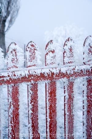 Alexandra;beautiful;building;buildings;calm;calmness;Central-Otago;clean;clear;cold;Coldness;Color;Colour;Daytime;Exterior;freeze;freezing;freezing-fog;frost;Frosted;frosty;Fruitlands;gate;gates;gateway;gateways;heritage;high-country;historic;historic-building;historic-buildings;historical;historical-building;historical-buildings;history;hoar-frost;hoar-frosts;Hoarfrost;hoarfrosts;ice;ice-crystals;icy;idyllic;Landscape;Landscapes;Mitchells-Cottage;Mitchells-Cottage;N.Z.;natural;Nature;new-zealand;NZ;old;Otago;Outdoor;Outdoors;Outside;peaceful;Peacefulness;phenomena;phenomenon;poplar;poplar-tree;poplar-trees;poplars;pure;Quiet;Quietness;rime;rime-ice;S.I.;Scenic;Scenics;Season;Seasons;SI;silence;south-island;spectacular;stunning;tradition;traditional;tranquil;tranquility;tree;trees;view;water;weather;White;winter;Wintertime;wintery;wintry