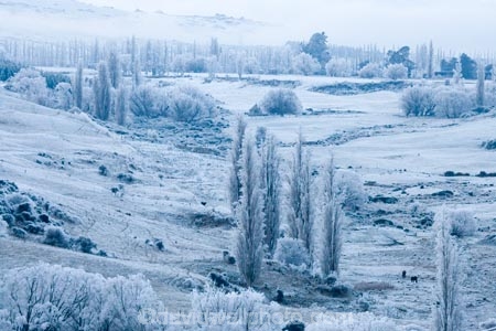 agricultural;agriculture;Alexandra;beautiful;calm;calmness;Central-Otago;clean;clear;cold;Coldness;Color;Colour;country;countryside;Daytime;Exterior;farm;farming;farmland;farms;field;fields;freeze;freezing;freezing-fog;frost;Frosted;frosty;Fruitlands;high-country;hoar-frost;hoar-frosts;Hoarfrost;hoarfrosts;ice;ice-crystals;icy;idyllic;Landscape;Landscapes;meadow;meadows;N.Z.;natural;Nature;new-zealand;NZ;Otago;Outdoor;Outdoors;Outside;paddock;paddocks;pasture;pastures;peaceful;Peacefulness;phenomena;phenomenon;poplar;poplar-tree;poplar-trees;poplars;pure;Quiet;Quietness;rime;rime-ice;rural;S.I.;Scenic;Scenics;Season;Seasons;SI;silence;south-island;spectacular;stunning;tranquil;tranquility;tree;trees;view;water;weather;White;willow;willow-tree;willow-trees;willows;winter;Wintertime;wintery;wintry