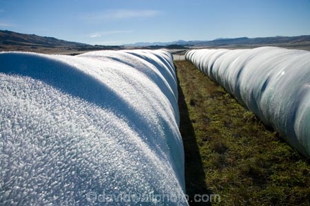 agricultural;agriculture;bale;bales;beautiful;calm;calmness;Central-Otago;clean;clear;cold;Coldness;Color;Colour;country;countryside;Daytime;Dunedin;Exterior;farm;farming;farmland;farms;field;fields;freeze;freezing;freezing-fog;frost;Frosted;frosty;hay;hay-bale;hay-bales;high-country;hoar-frost;hoar-frosts;Hoarfrost;hoarfrosts;Hyde;ice;ice-crystals;icy;idyllic;Landscape;Landscapes;Maniototo;meadow;meadows;N.Z.;natural;Nature;new-zealand;NZ;Otago;Outdoor;Outdoors;Outside;paddock;paddocks;pasture;pastures;peaceful;Peacefulness;phenomena;phenomenon;pure;Quiet;Quietness;rime;rime-ice;rural;S.I.;Scenic;Scenics;Season;Seasons;SI;silence;south-island;spectacular;stunning;tranquil;tranquility;view;water;weather;White;winter;Wintertime;wintery;wintry