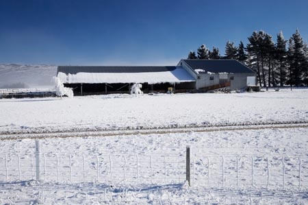 agricultural;agriculture;beautiful;calm;calmness;Central-Otago;clean;clear;cold;Coldness;Color;Colour;country;countryside;Daytime;Exterior;extreme-weather;farm;farming;farmland;farms;field;fields;freeze;freezing;frost;Frosted;frosts;frosty;high-country;hoar-frost;hoar-frosts;Hoarfrost;hoarfrosts;ice;ice-crystals;icicle;icicles;icy;idyllic;Landscape;Landscapes;Maniototo;meadow;meadows;N.Z.;natural;Nature;new-zealand;NZ;Otago;Outdoor;Outdoors;Outside;paddock;paddocks;pasture;pastures;peaceful;Peacefulness;phenomena;phenomenon;pure;Quiet;Quietness;rime;rime-ice;rural;S.I.;Scenic;Scenics;Season;Seasons;SI;silence;South-Is.;South-Island;spectacular;stunning;tranquil;tranquility;view;water;weather;White;winter;Wintertime;wintery;wintry