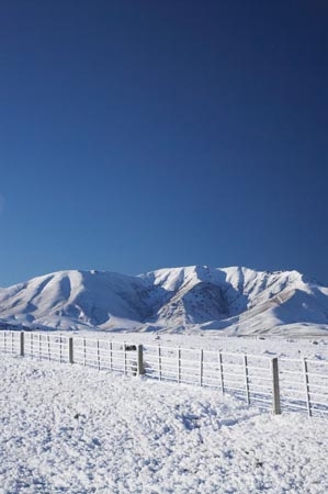 agricultural;agriculture;beautiful;calm;calmness;Central-Otago;clean;clear;cold;Coldness;Color;Colour;country;countryside;Daytime;Exterior;extreme-weather;farm;farming;farmland;farms;fence;fence-line;fence-lines;fence_line;fence_lines;fenceline;fencelines;fences;field;fields;freeze;freezing;frost;Frosted;frosts;frosty;high-country;hoar-frost;hoar-frosts;Hoarfrost;hoarfrosts;ice;ice-crystals;icy;Ida-Range;idyllic;Landscape;Landscapes;Little-Mount-Ida;Little-Mt-Ida;Little-Mt.-Ida;Maniototo;meadow;meadows;Mount-Ida;Mt-Ida;Mt.-Ida;N.Z.;natural;Nature;new-zealand;NZ;Otago;Outdoor;Outdoors;Outside;paddock;paddocks;pasture;pastures;peaceful;Peacefulness;phenomena;phenomenon;pure;Quiet;Quietness;rime;rime-ice;rural;S.I.;Scenic;Scenics;Season;Seasons;SI;silence;South-Is.;South-Island;spectacular;stunning;tranquil;tranquility;view;water;weather;Wedderburn;White;winter;Wintertime;wintery;wintry