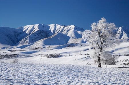 agricultural;agriculture;beautiful;calm;calmness;Central-Otago;clean;clear;cold;Coldness;Color;Colour;country;countryside;Daytime;Exterior;extreme-weather;farm;farming;farmland;farms;field;fields;freeze;freezing;frost;Frosted;frosts;frosty;high-country;hoar-frost;hoar-frosts;Hoarfrost;hoarfrosts;ice;ice-crystals;icy;Ida-Range;idyllic;Landscape;Landscapes;Little-Mount-Ida;Little-Mt-Ida;Little-Mt.-Ida;Maniototo;meadow;meadows;Mount-Ida;Mt-Ida;Mt.-Ida;N.Z.;natural;Nature;new-zealand;NZ;Otago;Outdoor;Outdoors;Outside;paddock;paddocks;pasture;pastures;peaceful;Peacefulness;phenomena;phenomenon;pure;Quiet;Quietness;rime;rime-ice;rural;S.I.;Scenic;Scenics;Season;Seasons;SI;silence;South-Is.;South-Island;spectacular;stunning;tranquil;tranquility;view;water;weather;Wedderburn;White;winter;Wintertime;wintery;wintry