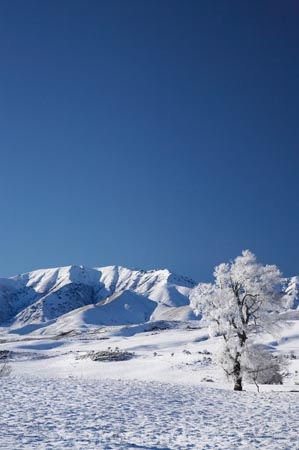 agricultural;agriculture;beautiful;calm;calmness;Central-Otago;clean;clear;cold;Coldness;Color;Colour;country;countryside;Daytime;Exterior;extreme-weather;farm;farming;farmland;farms;field;fields;freeze;freezing;frost;Frosted;frosts;frosty;high-country;hoar-frost;hoar-frosts;Hoarfrost;hoarfrosts;ice;ice-crystals;icy;Ida-Range;idyllic;Landscape;Landscapes;Little-Mount-Ida;Little-Mt-Ida;Little-Mt.-Ida;Maniototo;meadow;meadows;Mount-Ida;Mt-Ida;Mt.-Ida;N.Z.;natural;Nature;new-zealand;NZ;Otago;Outdoor;Outdoors;Outside;paddock;paddocks;pasture;pastures;peaceful;Peacefulness;phenomena;phenomenon;pure;Quiet;Quietness;rime;rime-ice;rural;S.I.;Scenic;Scenics;Season;Seasons;SI;silence;South-Is.;South-Island;spectacular;stunning;tranquil;tranquility;view;water;weather;Wedderburn;White;winter;Wintertime;wintery;wintry