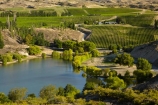agricultural;agriculture;Bannockburn;Bannockburn-Inlet;Central-Otago;central-otago-vineyard;central-otago-vineyards;central-otago-wineries;central-otago-winery;country;countryside;crop;crops;cultivation;farm;farming;farmland;farms;field;fields;grapevine;grapevines;horticulture;lake;Lake-Dunstan;lakes;N.Z.;New-Zealand;NZ;row;rows;rural;S.I.;SI;South-Is.;south-island;vine;vines;vineyard;vineyards;vintage;wineage;wineries;winery;wines