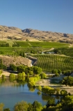 agricultural;agriculture;Bannockburn;Bannockburn-Inlet;Central-Otago;central-otago-vineyard;central-otago-vineyards;central-otago-wineries;central-otago-winery;country;countryside;crop;crops;cultivation;farm;farming;farmland;farms;field;fields;grapevine;grapevines;horticulture;lake;Lake-Dunstan;lakes;N.Z.;New-Zealand;NZ;row;rows;rural;S.I.;SI;South-Is.;south-island;vine;vines;vineyard;vineyards;vintage;wineage;wineries;winery;wines