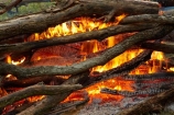 bonfire;bonfires;burn;burned;burning;burns;burnt;camp-fire;camp-fires;camp_fire;camp_fires;campfire;campfires;Central-Otago;cooking-fire;cooking-fires;danger;dangerous;fire;fires;flamable;flame;flames;flaming;heat;hot;N.Z.;New-Zealand;NZ;on-fire;orange;Otago;S.I.;SI;South-Is.;South-Island;wood;wood-fire;wood-fires;woodfire;woodfires