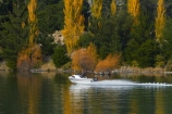 autuminal;autumn;autumn-colour;autumn-colours;autumnal;boat;boats;calm;Central-Otago;color;colors;colour;colours;conifer;conifers;Cornish-Point;Cromwell;deciduous;fall;Lake-Dunstan;leaf;leaves;N.Z.;New-Zealand;NZ;Otago;outboard;pine;pine-tree;pine-trees;pines;placid;pleasure-boat;pleasure-boats;pleasure-craft;pleasure-crafts;poplar;poplar-tree;poplar-trees;poplars;power-boat;power-boats;quiet;reflection;reflections;S.I.;season;seasonal;seasons;serene;SI;smooth;South-Is;South-Island;speed-boat;speed-boats;Sth-Is;still;tranquil;tree;trees;water