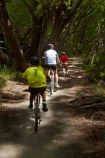 150th-Anniversary-track;Alexandra-_-Clyde-track;Alexandra-to-Clyde-track;bicycle;bicycles;bike;bikes;boy;boys;Central-Otago;child;children;Clutha-River-Track;Clyde-_-Alexandra-track;cycle;cycle-track;cycle-tracks;cycler;cyclers;cycles;cycleway;cycleways;cyclist;cyclists;girl;girls;mountain-bike;mountain-biker;mountain-bikers;mountain-bikes;mtn-bike;mtn-biker;mtn-bikers;mtn-bikes;N.Z.;New-Zealand;NZ;Otago;people;person;push-bike;push-bikes;push_bike;push_bikes;pushbike;pushbikes;recreation;S.I.;SI;South-Is;South-Island;Sth-Is;willow;willow-tree;willow-trees;willows