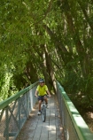 150th-Anniversary-track;Alexandra-_-Clyde-track;Alexandra-to-Clyde-track;bicycle;bicycles;bike;bikes;boy;boys;bridges;brige;Central-Otago;child;children;Clutha-River-Track;Clyde-_-Alexandra-track;cycle;cycle-track;cycle-tracks;cycler;cyclers;cycles;cycleway;cycleways;cyclist;cyclists;mountain-bike;mountain-biker;mountain-bikers;mountain-bikes;mtn-bike;mtn-biker;mtn-bikers;mtn-bikes;N.Z.;New-Zealand;NZ;Otago;people;person;push-bike;push-bikes;push_bike;push_bikes;pushbike;pushbikes;recreation;S.I.;SI;South-Is;South-Island;Sth-Is;willow;willow-tree;willow-trees;willows