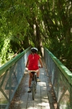 150th-Anniversary-track;Alexandra-_-Clyde-track;Alexandra-to-Clyde-track;bicycle;bicycles;bike;bikes;bridges;brige;Central-Otago;child;children;Clutha-River-Track;Clyde-_-Alexandra-track;cycle;cycle-track;cycle-tracks;cycler;cyclers;cycles;cycleway;cycleways;cyclist;cyclists;girl;girls;mountain-bike;mountain-biker;mountain-bikers;mountain-bikes;mtn-bike;mtn-biker;mtn-bikers;mtn-bikes;N.Z.;New-Zealand;NZ;Otago;people;person;push-bike;push-bikes;push_bike;push_bikes;pushbike;pushbikes;recreation;S.I.;SI;South-Is;South-Island;Sth-Is;willow;willow-tree;willow-trees;willows