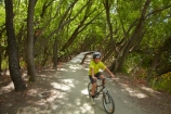 150th-Anniversary-track;Alexandra-_-Clyde-track;Alexandra-to-Clyde-track;bicycle;bicycles;bike;bikes;boy;boys;Central-Otago;child;children;Clutha-River-Track;Clyde-_-Alexandra-track;cycle;cycle-track;cycle-tracks;cycler;cyclers;cycles;cycleway;cycleways;cyclist;cyclists;mountain-bike;mountain-biker;mountain-bikers;mountain-bikes;mtn-bike;mtn-biker;mtn-bikers;mtn-bikes;N.Z.;New-Zealand;NZ;Otago;people;person;push-bike;push-bikes;push_bike;push_bikes;pushbike;pushbikes;recreation;S.I.;SI;South-Is;South-Island;Sth-Is;willow;willow-tree;willow-trees;willows