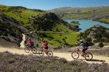 bicycle;bicycles;bike;bike-track;bike-tracks;bike-trail;bike-trails;bikes;Central-Otago;child;children;cycle;cycle-track;cycle-tracks;cycle-trail;cycle-trails;cycler;cyclers;cycles;cyclist;cyclists;families;family;hairpin-bend;hairpin-bends;hairpin-corner;hairpin-corners;lake;Lake-Roxburgh;lakes;mountain-bike;mountain-biker;mountain-bikers;mountain-bikes;mtn-bike;mtn-biker;mtn-bikers;mtn-bikes;N.Z.;New-Zealand;NZ;Otago;people;person;push-bike;push-bikes;push_bike;push_bikes;pushbike;pushbikes;Roxburgh;Roxburgh-Cycle-Track;Roxburgh-Cycle-Trail;Roxburgh-Gorge;Roxburgh-Gorge-Cycle-and-Walking-Trail;Roxburgh-Gorge-Cycle-Track;Roxburgh-Gorge-Cycle-Trail;Roxburgh-Gorge-Track;Roxburgh-Gorge-Trail;Roxburgh-Gorge-Walking-and-Cycle-Trail;S.I.;season;seasonal;seasons;SI;South-Is;South-Island;spring;spring-time;steep;Sth-is;switchback;switchback-road;switchback-roads;switchbacks;thyme;thyme-in-flower;tourism;tourist;tourists;violet;wild-thyme;zig-zag;zig-zag-road;zig-zag-roads;zig-zags;zig_zag;zig_zag-road;zig_zag-roads;zig_zags;zigzag;zigzag-road;zigzag-roads;zigzags