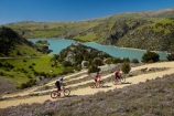 bicycle;bicycles;bike;bike-track;bike-tracks;bike-trail;bike-trails;bikes;Central-Otago;child;children;cycle;cycle-track;cycle-tracks;cycle-trail;cycle-trails;cycler;cyclers;cycles;cyclist;cyclists;families;family;hairpin-bend;hairpin-bends;hairpin-corner;hairpin-corners;lake;Lake-Roxburgh;lakes;mountain-bike;mountain-biker;mountain-bikers;mountain-bikes;mtn-bike;mtn-biker;mtn-bikers;mtn-bikes;N.Z.;New-Zealand;NZ;Otago;people;person;push-bike;push-bikes;push_bike;push_bikes;pushbike;pushbikes;Roxburgh;Roxburgh-Cycle-Track;Roxburgh-Cycle-Trail;Roxburgh-Gorge;Roxburgh-Gorge-Cycle-and-Walking-Trail;Roxburgh-Gorge-Cycle-Track;Roxburgh-Gorge-Cycle-Trail;Roxburgh-Gorge-Track;Roxburgh-Gorge-Trail;Roxburgh-Gorge-Walking-and-Cycle-Trail;S.I.;season;seasonal;seasons;SI;South-Is;South-Island;spring;spring-time;steep;Sth-is;switchback;switchback-road;switchback-roads;switchbacks;thyme;thyme-in-flower;tourism;tourist;tourists;violet;wild-thyme;zig-zag;zig-zag-road;zig-zag-roads;zig-zags;zig_zag;zig_zag-road;zig_zag-roads;zig_zags;zigzag;zigzag-road;zigzag-roads;zigzags