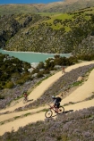 bicycle;bicycles;bike;bike-track;bike-tracks;bike-trail;bike-trails;bikes;Central-Otago;cycle;cycle-track;cycle-tracks;cycle-trail;cycle-trails;cycler;cyclers;cycles;cyclist;cyclists;hairpin-bend;hairpin-bends;hairpin-corner;hairpin-corners;lake;Lake-Roxburgh;lakes;mountain-bike;mountain-biker;mountain-bikers;mountain-bikes;mtn-bike;mtn-biker;mtn-bikers;mtn-bikes;N.Z.;New-Zealand;NZ;Otago;people;person;push-bike;push-bikes;push_bike;push_bikes;pushbike;pushbikes;Roxburgh;Roxburgh-Cycle-Track;Roxburgh-Cycle-Trail;Roxburgh-Gorge;Roxburgh-Gorge-Cycle-and-Walking-Trail;Roxburgh-Gorge-Cycle-Track;Roxburgh-Gorge-Cycle-Trail;Roxburgh-Gorge-Track;Roxburgh-Gorge-Trail;Roxburgh-Gorge-Walking-and-Cycle-Trail;S.I.;season;seasonal;seasons;SI;South-Is;South-Island;spring;spring-time;steep;Sth-is;switchback;switchback-road;switchback-roads;switchbacks;thyme;thyme-in-flower;tourism;tourist;tourists;violet;wild-thyme;zig-zag;zig-zag-road;zig-zag-roads;zig-zags;zig_zag;zig_zag-road;zig_zag-roads;zig_zags;zigzag;zigzag-road;zigzag-roads;zigzags