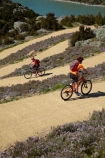 bicycle;bicycles;bike;bike-track;bike-tracks;bike-trail;bike-trails;bikes;Central-Otago;child;children;cycle;cycle-track;cycle-tracks;cycle-trail;cycle-trails;cycler;cyclers;cycles;cyclist;cyclists;families;family;hairpin-bend;hairpin-bends;hairpin-corner;hairpin-corners;lake;Lake-Roxburgh;lakes;mountain-bike;mountain-biker;mountain-bikers;mountain-bikes;mtn-bike;mtn-biker;mtn-bikers;mtn-bikes;N.Z.;New-Zealand;NZ;Otago;people;person;push-bike;push-bikes;push_bike;push_bikes;pushbike;pushbikes;Roxburgh;Roxburgh-Cycle-Track;Roxburgh-Cycle-Trail;Roxburgh-Gorge;Roxburgh-Gorge-Cycle-and-Walking-Trail;Roxburgh-Gorge-Cycle-Track;Roxburgh-Gorge-Cycle-Trail;Roxburgh-Gorge-Track;Roxburgh-Gorge-Trail;Roxburgh-Gorge-Walking-and-Cycle-Trail;S.I.;season;seasonal;seasons;SI;South-Is;South-Island;spring;spring-time;steep;Sth-is;switchback;switchback-road;switchback-roads;switchbacks;thyme;thyme-in-flower;tourism;tourist;tourists;violet;wild-thyme;zig-zag;zig-zag-road;zig-zag-roads;zig-zags;zig_zag;zig_zag-road;zig_zag-roads;zig_zags;zigzag;zigzag-road;zigzag-roads;zigzags