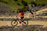 bicycle;bicycles;bike;bike-track;bike-tracks;bike-trail;bike-trails;bikes;Central-Otago;child;children;cycle;cycle-track;cycle-tracks;cycle-trail;cycle-trails;cycler;cyclers;cycles;cyclist;cyclists;families;family;hairpin-bend;hairpin-bends;hairpin-corner;hairpin-corners;mountain-bike;mountain-biker;mountain-bikers;mountain-bikes;mtn-bike;mtn-biker;mtn-bikers;mtn-bikes;N.Z.;New-Zealand;NZ;Otago;people;person;push-bike;push-bikes;push_bike;push_bikes;pushbike;pushbikes;Roxburgh;Roxburgh-Cycle-Track;Roxburgh-Cycle-Trail;Roxburgh-Gorge;Roxburgh-Gorge-Cycle-and-Walking-Trail;Roxburgh-Gorge-Cycle-Track;Roxburgh-Gorge-Cycle-Trail;Roxburgh-Gorge-Track;Roxburgh-Gorge-Trail;Roxburgh-Gorge-Walking-and-Cycle-Trail;S.I.;season;seasonal;seasons;SI;South-Is;South-Island;spring;spring-time;steep;Sth-is;switchback;switchback-road;switchback-roads;switchbacks;thyme;thyme-in-flower;tourism;tourist;tourists;violet;wild-thyme;zig-zag;zig-zag-road;zig-zag-roads;zig-zags;zig_zag;zig_zag-road;zig_zag-roads;zig_zags;zigzag;zigzag-road;zigzag-roads;zigzags