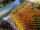 aerial;Aerial-drone;Aerial-drones;aerial-image;aerial-images;aerial-photo;aerial-photograph;aerial-photographs;aerial-photography;aerial-photos;aerial-view;aerial-views;aerials;autuminal;autumn;autumn-colour;autumn-colours;autumnal;Bannockburn;Central-Otago;color;colors;colour;colours;country;countryside;Cromwell;crop;crops;deciduous;Drone;Drones;emotely-operated-aircraft;fall;farm;farming;farmland;farms;field;fruit;fruit-tree;fruit-trees;gold;golden;horticulture;Kawarau-Arm;Kawarau-River;lake;Lake-Dunstan;lakes;leaf;leaves;N.Z.;New-Zealand;NZ;orange;orchard;orchards;Otago;poplar;poplar-tree;poplar-trees;poplars;Quadcopter;Quadcopters;remote-piloted-aircraft-systems;remotely-piloted-aircraft;remotely-piloted-aircrafts;river;rivers;ROA;row;rows;RPA;RPAS;rural;S.I.;season;seasonal;seasons;SI;South-Is;South-Island;Sth-Is;tree;trees;U.A.V.;UA;UAS;UAV;UAVs;Unmanned-aerial-vehicle;unmanned-aircraft;unpiloted-aerial-vehicle;unpiloted-aerial-vehicles;unpiloted-air-system;yellow