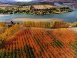 aerial;Aerial-drone;Aerial-drones;aerial-image;aerial-images;aerial-photo;aerial-photograph;aerial-photographs;aerial-photography;aerial-photos;aerial-view;aerial-views;aerials;autuminal;autumn;autumn-colour;autumn-colours;autumnal;Bannockburn;Central-Otago;color;colors;colour;colours;country;countryside;Cromwell;crop;crops;deciduous;Drone;Drones;emotely-operated-aircraft;fall;farm;farming;farmland;farms;field;fruit;fruit-tree;fruit-trees;gold;golden;horticulture;Kawarau-Arm;Kawarau-River;lake;Lake-Dunstan;lakes;leaf;leaves;N.Z.;New-Zealand;NZ;orange;orchard;orchards;Otago;poplar;poplar-tree;poplar-trees;poplars;Quadcopter;Quadcopters;remote-piloted-aircraft-systems;remotely-piloted-aircraft;remotely-piloted-aircrafts;river;rivers;ROA;row;rows;RPA;RPAS;rural;S.I.;season;seasonal;seasons;SI;South-Is;South-Island;Sth-Is;tree;trees;U.A.V.;UA;UAS;UAV;UAVs;Unmanned-aerial-vehicle;unmanned-aircraft;unpiloted-aerial-vehicle;unpiloted-aerial-vehicles;unpiloted-air-system;yellow