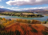aerial;Aerial-drone;Aerial-drones;aerial-image;aerial-images;aerial-photo;aerial-photograph;aerial-photographs;aerial-photography;aerial-photos;aerial-view;aerial-views;aerials;autuminal;autumn;autumn-colour;autumn-colours;autumnal;Bannockburn;Central-Otago;color;colors;colour;colours;country;countryside;Cromwell;crop;crops;deciduous;Drone;Drones;emotely-operated-aircraft;fall;farm;farming;farmland;farms;field;fruit;fruit-tree;fruit-trees;gold;golden;horticulture;Kawarau-Arm;Kawarau-River;lake;Lake-Dunstan;lakes;leaf;leaves;N.Z.;New-Zealand;NZ;orange;orchard;orchards;Otago;poplar;poplar-tree;poplar-trees;poplars;Quadcopter;Quadcopters;remote-piloted-aircraft-systems;remotely-piloted-aircraft;remotely-piloted-aircrafts;river;rivers;ROA;row;rows;RPA;RPAS;rural;S.I.;season;seasonal;seasons;SI;South-Is;South-Island;Sth-Is;tree;trees;U.A.V.;UA;UAS;UAV;UAVs;Unmanned-aerial-vehicle;unmanned-aircraft;unpiloted-aerial-vehicle;unpiloted-aerial-vehicles;unpiloted-air-system;yellow