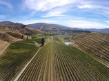 aerial;Aerial-drone;Aerial-drones;aerial-image;aerial-images;aerial-photo;aerial-photograph;aerial-photographs;aerial-photography;aerial-photos;aerial-view;aerial-views;aerials;agricultural;agriculture;Bannockburn;Central-Otago;Central-Otago-Vineyards;country;countryside;crop;crops;cultivation;Drone;Drones;emotely-operated-aircraft;farm;farming;farmland;farms;Felton-Rd-Vineyard;Felton-Road-Vineyard;Felton-Road-Wines;field;fields;grape;grapes;grapevine;horticulture;N.Z.;New-Zealand;NZ;Otago;Quadcopter;Quadcopters;remote-piloted-aircraft-systems;remotely-piloted-aircraft;remotely-piloted-aircrafts;ROA;row;rows;RPA;RPAS;rural;S.I.;SI;South-Is;South-Island;Sth-Is;U.A.V.;UA;UAS;UAV;UAVs;Unmanned-aerial-vehicle;unmanned-aircraft;unpiloted-aerial-vehicle;unpiloted-aerial-vehicles;unpiloted-air-system;vine;vines;vineyard;vineyards;vintage;wine;wineries;winery;wines