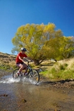 autuminal;autumn;autumn-colour;autumn-colours;autumnal;bicycle;bicycles;bike;bike-track;bike-tracks;bike-trail;bike-trails;bikes;brook;brooks;Central-Otago;Central-Otago-Cycle-Trail;Central-Otago-Rail-Trail;color;colors;colour;colours;creek;creeks;cycle;cycle-track;cycle-tracks;cycle-trail;cycle-trails;cycler;cyclers;cycles;cycleway;cycleways;cyclist;cyclists;deciduous;excercise;excercising;fall;gold;golden;Ida-Burn;Ida-Burn-Creek;Ida-Burn-Stream;Idaburn;Idaburn-Creek;Idaburn-Stream;Idaburn-Valley;leaf;leaves;model-released;mountain-bike;mountain-biker;mountain-bikers;mountain-bikes;MR;mtn-bike;mtn-biker;mtn-bikers;mtn-bikes;N.Z.;New-Zealand;NZ;Otago;Otago-Central-Cycle-Trail;Otago-Central-Rail-Trail;Otago-Rail-Trail;people;person;push-bike;push-bikes;push_bike;push_bikes;pushbike;pushbikes;rail-trail;rail-trails;S.I.;season;seasonal;seasons;SI;South-Is;South-Island;splash;splashing;Sth-Is;stream;streams;teenager;teenagers;tree;trees;yellow