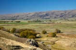 agricultural;agriculture;Central-Otago;country;countryside;farm;farming;farmland;farms;field;fields;Ida-Valley;Maniototo;meadow;meadows;N.Z.;New-Zealand;NZ;Otago;Otago-Central-Rail-Trail;paddock;paddocks;pasture;pastures;rural;S.I.;SI;South-Is;South-Island;Sth-Is