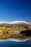 autuminal;autumn;autumnal;Bannockburn;Central-Otago;color;colors;colour;colours;cromwell;deciduous;fall;gold;golden;kawarau-arm;lake;Lake-Dunstan;lakes;leaf;leaves;Mount-Difficulty;Mt-Difficulty;Mt.-Difficulty;New-Zealand;poplar;poplar-tree;poplar-trees;poplars;reflection;reflections;snow;snowy;South-Island;tree;trees;water;yellow