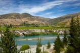 agricultural;agriculture;Bannockburn;Central-Otago;country;countryside;Cromwell;crop;crops;cultivation;farm;farming;farmland;farms;field;fields;grape;grapes;grapevine;horticulture;Kawarau-Arm;Kawarau-River;lake;Lake-Dunstan;lakes;N.Z.;New-Zealand;NZ;Otago;row;rows;rural;S.I.;SI;South-Is;South-Island;Sth-Is;vine;vines;vineyard;Vineyards;vintage;wine;wineries;winery;wines