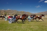 Central-Otago;Cromwell;Cromwell-Racecourse;Cromwell-Races;horse;horse-race;horse-races;horse-racing;horses;N.Z.;New-Zealand;NZ;Otago;race;races;racing;S.I.;SI;South-Is;South-Island;Sth-Is;trot;trots;trotting;trotting-races