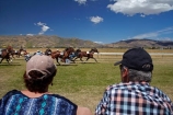 Central-Otago;Cromwell;Cromwell-Racecourse;Cromwell-Races;horse;horse-race;horse-races;horse-racing;horses;N.Z.;New-Zealand;NZ;Otago;people;person;punter;punters;race;races;racing;S.I.;SI;South-Is;South-Island;Sth-Is;trot;trots;trotting;trotting-races