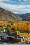 agricultural;agriculture;autuminal;autumn;autumn-colour;autumn-colours;autumnal;Bannockburn;bar;bars;cafe;cafes;Central-Otago;central-otago-vineyard;central-otago-vineyards;central-otago-wineries;central-otago-winery;color;colors;colour;colours;country;countryside;crop;crops;cuisine;cultivation;deciduous;dine;dining;fall;farm;farming;farmland;farms;field;fields;food;gold;golden;grape;grapes;grapevine;horticulture;leaf;leaves;Mt-Difficulty;Mt-Difficulty-Cafe;Mt-Difficulty-Restaurant;Mt-Difficulty-Tasting-Room;Mt-Difficulty-Vineyard;Mt-Difficulty-Winery;Mt-Difficulty-Wines;Mt-Difficulty-Wines-Tasting-Room;N.Z.;new-zealand;NZ;Otago;poplar;poplar-tree;poplar-trees;poplars;restaurant;restaurants;row;rows;rural;S.I.;season;seasonal;seasons;SI;South-Island;Sth-Is;Sth-Is.;The-Winery-Restaurant;tree;trees;vine;vines;vineyard;vineyards;vintage;wine;wineage;wineries;winery;wines;yellow