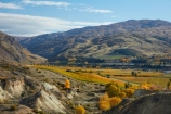 1865;agricultural;agriculture;autuminal;autumn;autumn-colour;autumn-colours;autumnal;Bannockburn;bannockburn-sluicings;Bannockburn-Tailings;central-otago;central-otago-vineyard;central-otago-vineyards;central-otago-wineries;central-otago-winery;color;colors;colour;colours;country;countryside;crop;crops;cultivation;deciduous;diggings;eroded;erosion;fall;farm;farming;farmland;farms;field;fields;gold;gold-diggings;gold-fields;gold-mining;gold-mining-tailings;gold-rush;gold-tailings;gold-workings;golden;goldfields;goldmining;goldrush;grape;grapes;grapevine;heritage;historic;Historic-Gold-Sluicings;historical;history;horticulture;leaf;leaves;mining-tailings;Mount-Difficulty;Mount-Difficulty-Vineyard;Mount-Difficulty-Winery;Mt-Difficulty;Mt-Difficulty-Vineyard;Mt-Difficulty-Winery;Mt.-Difficulty;Mt.-Difficulty-Vineyard;Mt.-Difficulty-Winery;N.Z.;New-Zealand;NZ;Otago;Pisa-Mountain;Pisa-Range;poplar;poplar-tree;poplar-trees;poplars;row;rows;rural;S.I.;season;seasonal;seasons;SI;sluicing;sluicings;South-Island;Sth-Is;Sth-Is.;tailing;tailings;tree;trees;vine;vines;vineyard;vineyards;vintage;wine;wineries;winery;wines;yellow