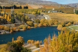 agricultural;agriculture;autuminal;autumn;autumn-colour;autumn-colours;autumnal;Bannockburn;Bannockburn-Inlet;cairnmuir-mountains;cairnmuir-range;Central-Otago;central-otago-vineyard;central-otago-vineyards;central-otago-wineries;central-otago-winery;color;colors;colour;colours;country;countryside;cromwell;crop;crops;cultivation;deciduous;fall;farm;farming;farmland;farms;field;fields;gold;golden;grape;grapes;grapevine;horticulture;kawarau-arm;lake;Lake-Dunstan;lakes;leaf;leaves;N.Z.;New-Zealand;NZ;Otago;poplar;poplar-tree;poplar-trees;poplars;row;rows;rural;S.I.;season;seasonal;seasons;SI;south-island;Sth-Is;Sth-Is.;tree;trees;vine;vines;vineyard;vineyards;vintage;water;wine;wineries;winery;wines;yellow