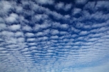Aotearoa;autocumulus;autocumulus-undulatus;Bannockburn;blue;Central-Otago;cloud;clouds;cloudy;N.Z.;New-Zealand;NZ;Otago;ripple;ripple-cloud;rippled;ripples;S.I.;SI;skies;sky;South-Is;South-Island;Sth-Is;undulatus-cloud;undulatus-clouds;wave-cloud;weather