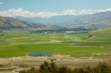 agricultural;agriculture;Bendigo;Central-Otago;country;countryside;cultivation;farm;farming;farmland;farms;field;fields;irrigate;irrigated-land;irrigation;irrigation-scheme;irrigator;meadow;meadows;N.Z.;New-Zealand;NZ;Otago;paddock;paddocks;pasture;pastures;rural;S.I.;SI;South-Is;South-Island;Upper-Clutha;water