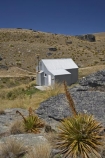 Aciphylla-aurea;alpine;back-country-hut;backcountry;backcountry-hut;backcountry-huts;Central-Otago;clump;corrugated-iron;corrugated-steel;DOC-hut;DOC-huts;flower-spikes;flowers;golden;Golden-Speargrass;high-altitude;high-country-hut;highcountry;highcountry-hut;highcountry-huts;highlands;hikers-hut;hikers-huts;huits;hut;mountain-hut;mountain-huts;mountains;N.Z.;New-Zealand;NZ;Old-Woman-Hut;Old-Woman-Range;Otago;outdoors;range;ranges;rock;rocks;S.I.;schist;shelter;SI;South-Island;spike;spikes;trampers-hut;trampers-huts;tussock;tussock-grass;tussocks;yellow