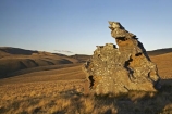 back-country;backcountry;Carrick-Range;Central-Otago;geological;geology;high-altitude;high-country;highcountry;highlands;N.Z.;Nevis-Valley;New-Zealand;NZ;Otago;remote;remoteness;rock;rock-formation;rock-formations;rock-outcrop;rock-outcrops;rock-tor;rock-torr;rock-torrs;rock-tors;rocks;S.I.;SI;South-Island;stone;tussock;tussock-grass;tussocks;uplands