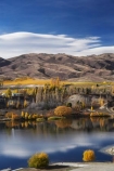 autuminal;autumn;autumn-colour;autumn-colours;autumnal;Bannockburn;Bannockburn-Inlet;cairnmuir-mountains;cairnmuir-range;calm;Central-Otago;color;colors;colour;colours;deciduous;fall;lake;Lake-Dunstan;lakes;leaf;leaves;N.Z.;New-Zealand;NZ;Otago;placid;quiet;reflection;reflections;S.I.;season;seasonal;seasons;serene;SI;smooth;South-Island;still;tranquil;tree;trees;water;willow;willow-tree;willow-trees;willows