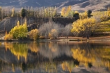 autuminal;autumn;autumn-colour;autumn-colours;autumnal;Bannockburn;Bannockburn-Inlet;calm;Central-Otago;color;colors;colour;colours;deciduous;fall;golden;lake;Lake-Dunstan;lakes;leaf;leaves;N.Z.;New-Zealand;NZ;Otago;placid;quiet;reflection;reflections;S.I.;season;seasonal;seasons;serene;SI;smooth;South-Island;still;tranquil;tree;trees;water;willow;willow-tree;willow-trees;willows;yellow