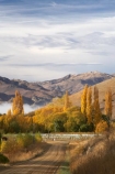agricultural;agriculture;autuminal;autumn;autumn-colour;autumn-colours;autumnal;Central-Otago;central-otago-vineyard;central-otago-vineyards;central-otago-wineries;central-otago-winery;color;colors;colour;colours;country;countryside;crop;crops;cultivation;deciduous;fall;farm;farming;farmland;farms;field;fields;golden;grape;grapes;grapevine;horticulture;leaf;leaves;Lowburn;meadow;meadows;N.Z.;New-Zealand;NZ;Otago;paddock;paddocks;pasture;pastures;poplar;poplar-tree;poplar-trees;poplars;row;rows;rural;S.I.;season;seasonal;seasons;SI;South-Island;tree;trees;vine;vines;vineyard;vineyards;vintage;wineage;wineries;winery;wines;yellow