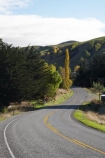 autuminal;autumn;autumn-colour;autumn-colours;autumnal;bend;bends;Central-Otago;centre-line;centre-lines;centre_line;centre_lines;centreline;centrelines;color;colors;colour;colours;corner;corners;deciduous;driving;fall;highway;highways;leaf;leaves;N.Z.;New-Zealand;NZ;open-road;open-roads;Otago;Raes-Junction;Rays-Junction;road;road-trip;roads;S.I.;season;seasonal;seasons;SI;South-Island;transport;transportation;travel;traveling;travelling;tree;trees;trip