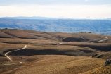 back-country;backcountry;Central-Otago;country;countryside;farm;farming;farmland;farms;field;fields;high-country;highcountry;highland;highlands;Lammermoor-Range;Lammermoor-Ranges;Maniototo;N.Z.;New-Zealand;NZ;Old-Dunstan-Road;Old-Dunstan-Track;Old-Dunstan-Trail;Otago;rural;S.I.;SI;South-Island;tussock;tussocks