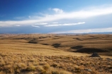 back-country;backcountry;Central-Otago;country;countryside;farm;farming;farmland;farms;field;fields;high-country;highcountry;highland;highlands;Lammermoor-Range;Lammermoor-Ranges;Maniototo;N.Z.;New-Zealand;NZ;Old-Dunstan-Road;Old-Dunstan-Track;Old-Dunstan-Trail;Otago;rural;S.I.;SI;South-Island;tussock;tussocks