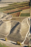 45-degrees-south;aerial;aerial-photo;aerial-photograph;aerial-photographs;aerial-photography;aerial-photos;aerial-view;aerial-views;aerials;agricultural;agriculture;autuminal;autumn;autumn-colour;autumn-colours;autumnal;Central-Otago;central-otago-vineyard;central-otago-vineyards;central-otago-wineries;central-otago-winery;color;colors;colour;colours;country;countryside;crop;crops;cultivation;deciduous;fall;farm;farming;farmland;farms;field;fields;fruit;fruit-tree;fruit-trees;grape;grapes;grapevine;horticulture;N.Z.;New-Zealand;NZ;orchard;orchards;Otago;pattern;patterns;row;rows;rural;S.I.;season;seasonal;seasons;SI;South-Is.;south-island;Sugarloaf;terrace;terraced;terraces;tree;trees;vine;vines;vineyard;vineyards;vintage;wineage;wineries;winery;wines