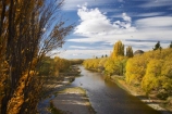 Alexandra;autuminal;autumn;autumn-colour;autumn-colours;autumnal;blow;Central-Otago;color;colors;colour;colours;deciduous;fall;gale;gale-force-wind;gale-force-winds;galeforce;galeforce-wind;galefore-winds;golden;gust;gusty;Manuherikia-River;N.Z.;New-Zealand;NZ;Otago;poplar;poplar-tree;poplar-trees;poplars;river;rivers;S.I.;season;seasonal;seasons;SI;South-Is.;South-Island;Strong-Wind;tree;trees;water;weather;willow;willow-tree;willow-trees;willows;wind;windy;yellow