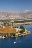 agricultural;agriculture;autuminal;autumn;autumn-colour;autumn-colours;autumnal;boat;boats;Carrick-Range;Central-Otago;central-otago-vineyard;central-otago-vineyards;central-otago-wineries;central-otago-winery;color;colors;colour;colours;Cornish-Point;Cornish-Point-Vineyard;country;countryside;Cromwell;crop;crops;cruise;cruises;cultivation;deciduous;fall;farm;farming;farmland;farms;Felton-Road-Wines;field;fields;grape;grapes;grapevine;horticulture;Kawarau-Arm-Lake-Dunstan;lake;Lake-Dunstan;lakes;launch;launches;meeting-of-the-waters;N.Z.;New-Zealand;NZ;Otago;pleasure-boat;pleasure-boats;row;rows;rural;S.I.;season;seasonal;seasons;SI;South-Is.;South-Island;speed-boat;speed-boats;tree;trees;vine;vines;Vineyard;vineyards;vintage;wineage;wineries;winery;wines