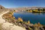 autuminal;autumn;autumn-colour;autumn-colours;autumnal;bicycle;bicycles;bike;bikes;Central-Otago;color;colors;colour;colours;Cornish-Point-Road;countryside;cycle;cycler;cyclers;cycles;cyclist;cyclists;deciduous;fall;gravel-road;gravel-roads;Kawarau-Arm;lake;Lake-Dunstan;lakes;metal-road;metal-roads;metalled-road;metalled-roads;mountain-bike;mountain-biker;mountain-bikers;mountain-bikes;mtn-bike;mtn-biker;mtn-bikers;mtn-bikes;N.Z.;New-Zealand;NZ;Otago;outdoor;outdoors;push-bike;push-bikes;push_bike;push_bikes;pushbike;pushbikes;recreation;road;roads;rural;S.I.;season;seasonal;seasons;SI;South-Is.;South-Island;tree;trees